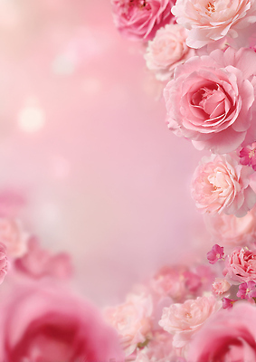 식물 편집이미지 계절 컬러 컨셉 표정 감각 생태계 냄새 파일형식 꽃 분홍색 자연 뷰티풀 백그라운드 부드러움 평화 생명 봄 장식 조화 찡그림 향기 풍경 JPG 이미지편집