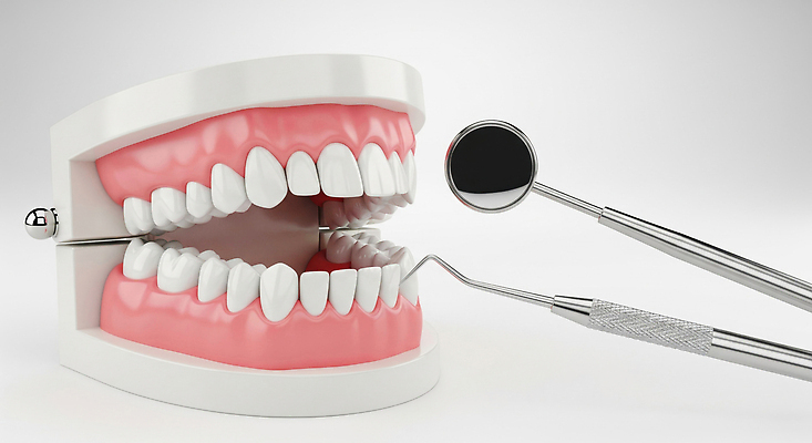 편집이미지 의학 건강 병원 의료진 입 소화기관 질병 파일형식 치과 구강 검사_조사 치아 도구 치료 의사 환자 모형 박테리아 예방 충치 전문 JPG 치아건강 의료성형뷰티 이미지편집