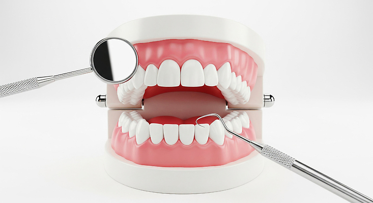 편집이미지 의학 건강 병원 진료 의사 의료용품 소화기관 파일형식 치과 치아 모형 치료 교육 거울 환자 치과의사 치과용품 치과진료 JPG 치아건강 의료성형뷰티 이미지편집