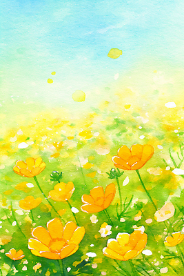 식물 계절 꽃 컬러 컨셉 태양 생태계 파일형식 초원 봄 노란색 화사함 풍경 자연 하늘 초록색 평화 꽃밭 햇빛 야외 화초 생명 뷰티풀 국내일러스트 일러스트 JPG 코스모스