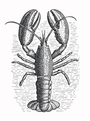 JPG 식물 예술 바다 일러스트 어류 수중동물 껍질 가재 해산물 국내일러스트 동물 갑각류 파일형식