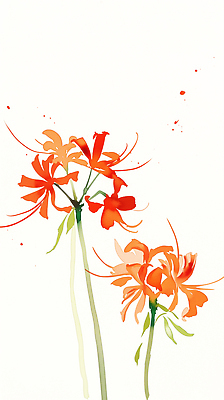 식물 계절 꽃 컬러 컨셉 채소 생태계 파일형식 수채화 정원 빨간색 노란색 여름 자연 뷰티풀 예술 조화 생명 화사함 화분 식물원 디자인 가지 JPG 국내일러스트 일러스트 석산꽃