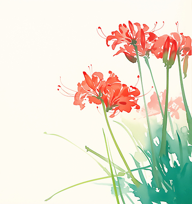 식물 계절 꽃 컨셉 취미 태양 생태계 파일형식 햇빛 자연 뷰티풀 평화 색감 여름 화사함 생명 조화 정원 꽃밭 원예 컬러 예술 감성 화려 JPG 국내일러스트 일러스트 석산꽃