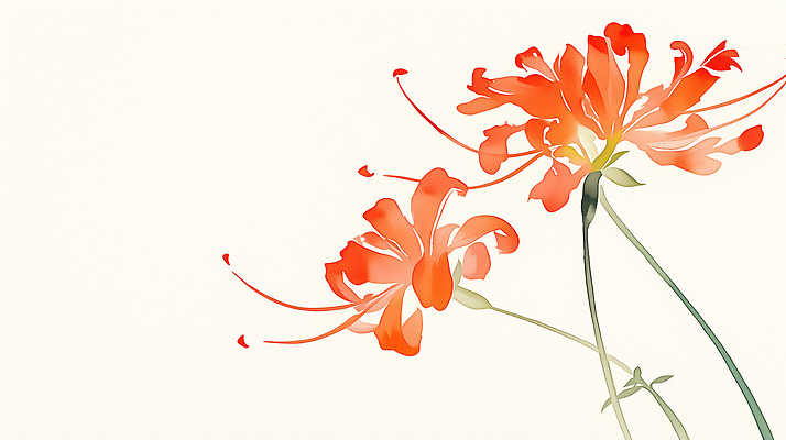 식물 계절 꽃 뷰포인트 컨셉 생태계 파일형식 정원 자연 화사함 뷰티풀 봄 여름 원근감 화초 예술 컬러 조화 JPG 국내일러스트 일러스트 석산꽃