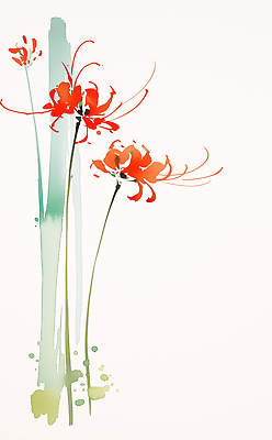 식물 계절 꽃 컬러 미술도구 생태계 파일형식 수채화 빨간색 줄기 여름 뷰티풀 자연 조화 예술 물감 색감 그림 디자인 생명 색채 정원 JPG 국내일러스트 일러스트 석산꽃