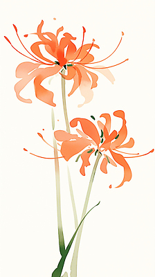 식물 계절 꽃 컬러 태양 생태계 파일형식 주황색 여름 햇빛 뷰티풀 자연 생명 백그라운드 예술 그림 조화 만개 감정 디자인 JPG 국내일러스트 일러스트 석산꽃