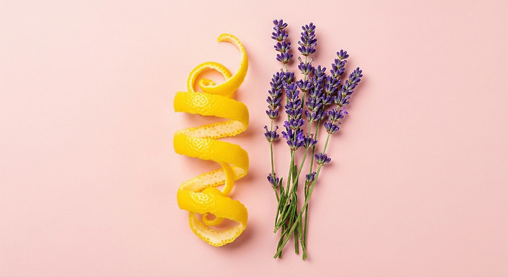 JPG 식물 편집이미지 웰빙 꽃 분홍색 백그라운드 자연 장식 전시 껍질 레몬 허브 향기 상큼 조화 라벤더 편집실사 컬러 과일 CG 생태계 냄새 파일형식