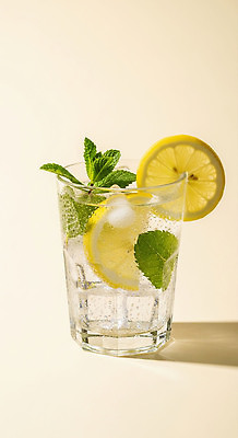 JPG 편집이미지 음료 가정 잔 여름 얼음 상차림 레몬 민트 허브 상큼 편집실사 자연요소 식물 식기 계절 과일 CG 파일형식