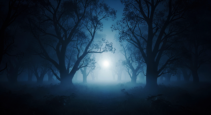 JPG 나무 편집이미지 야경 자연 조명 풍경 빛 평화 어둠 안개 분위기 저녁 숲 신비 달빛 이미지편집 AI컴퓨터그래픽 AI콘텐츠 식물 컨셉 날씨 달 야간 생태계 파일형식 풍경_경치