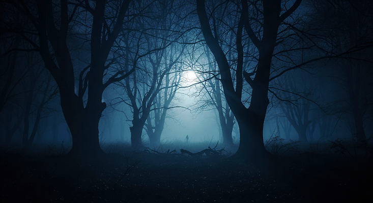 JPG 나무 편집이미지 자연 그림자 풍경 어둠 고요 안개 분위기 숲 미스터리 신비 달빛 이미지편집 AI컴퓨터그래픽 AI콘텐츠 식물 컨셉 날씨 달 예측 생태계 파일형식