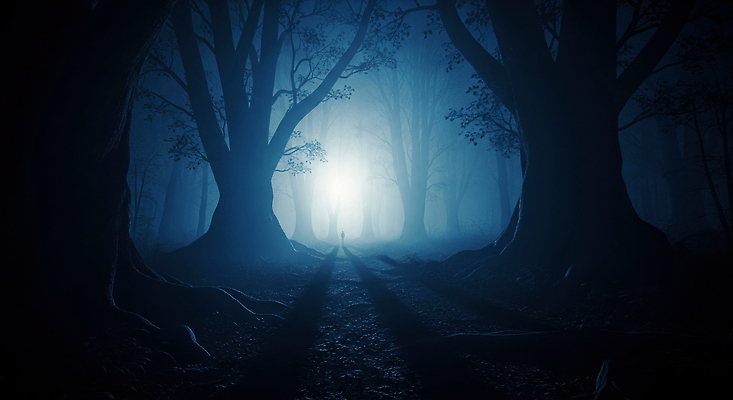 JPG 나무 편집이미지 길 자연 그림자 사람 빛 걷기 어둠 분위기 숲 신비 공포 환상 이미지편집 AI컴퓨터그래픽 AI콘텐츠 식물 컨셉 모션 생태계 파일형식