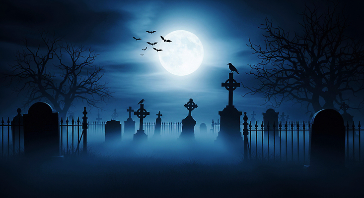 JPG 나무 편집이미지 자연 하늘 풍경 어둠 고요 안개 보름달 무덤 유령 미스터리 공포 올빼미 이미지편집 AI컴퓨터그래픽 AI콘텐츠 식물 조류 날씨 달 예측 생태계 파일형식