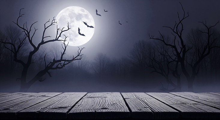 JPG 나무 편집이미지 야경 자연 하늘 그림자 어둠 보름달 분위기 숲 신비 공포 박쥐 나무그늘 몽환 이미지편집 AI컴퓨터그래픽 AI콘텐츠 식물 컨셉 포유류 달 야간 그늘 생태계 파일형식 풍경_경치