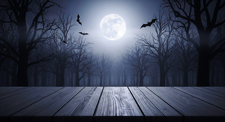 JPG 나무 편집이미지 여행 야경 자연 하늘 보름달 분위기 숲 달빛 박쥐 이미지편집 AI컴퓨터그래픽 AI콘텐츠 식물 컨셉 포유류 달 야간 생태계 파일형식 풍경_경치