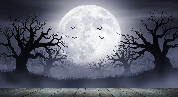 JPG 나무 편집이미지 야경 자연 풍경 어둠 고요 할로윈 보름달 분위기 숲 미스터리 신비 박쥐 이미지편집 AI컴퓨터그래픽 AI콘텐츠 식물 컨셉 포유류 달 야간 예측 생태계 파일형식 풍경_경치