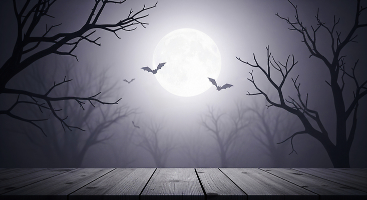 JPG 나무 편집이미지 야경 자연 하늘 그림자 풍경 목재 달 저녁 숲 신비 공포 박쥐 환상 이미지편집 AI컴퓨터그래픽 AI콘텐츠 자연요소 식물 컨셉 재료 포유류 야간 생태계 파일형식 풍경_경치