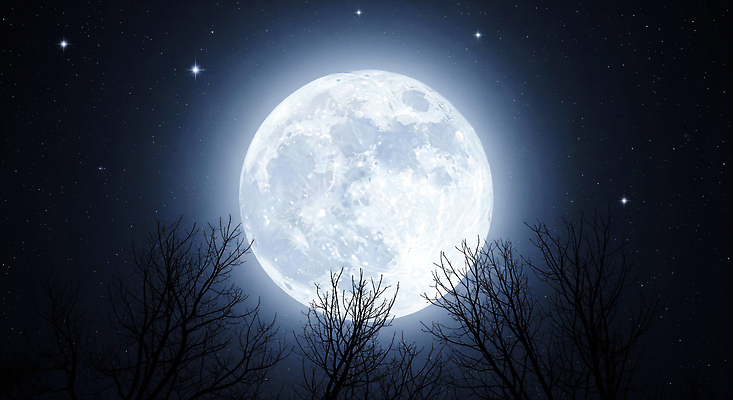 JPG 나무 편집이미지 실루엣 별 야경 자연 밤하늘 하늘 풍경 빛 우주 보름달 달빛 별빛 이미지편집 AI컴퓨터그래픽 AI콘텐츠 자연요소 식물 촬영기법 달 야간 생태계 파일형식 풍경_경치