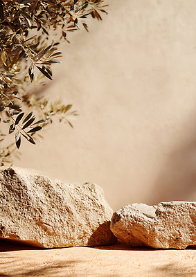 JPG 식물 편집이미지 백그라운드 자연 나뭇잎 바닥 풍경 빛 햇빛 평화 돌_바위 질감 조화 색감 편집실사 컨셉 잎 태양 CG 생태계 파일형식