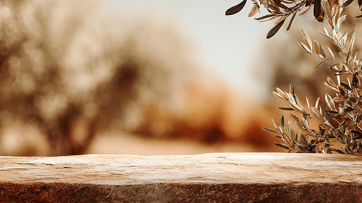 JPG 나무 식물 편집이미지 계절 여유 자연 휴식 풍경 햇빛 평화 고요 공간 올리브 색채 편집실사 열매 감정 컨셉 태양 CG 생태계 파일형식