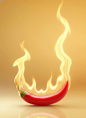 편집이미지 감정 컬러 채소 불 맛 생태계 파일형식 고추 불꽃 매움 요리 열정 에너지 상징 빨간색 자연 식재료 자극 디지털아트 이미지편집 JPG