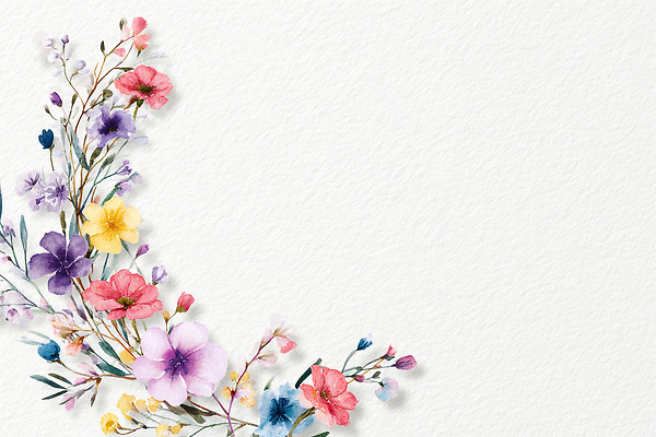 식물 컬러 컨셉 생태계 파일형식 꽃 수채화 장식 흰색 백그라운드 디자인 뷰티풀 자연 예술 감성 색감 조화 생명 개성 창의력 표현 일러스트 국내일러스트 JPG