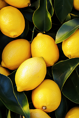 식물 음료 컬러 농업 과일 CG 생태계 영양소 파일형식 레몬 신선 노란색 잎 자연 과수원 수확 건강 비타민 요리 주스 상큼 질감 편집이미지 편집실사 JPG