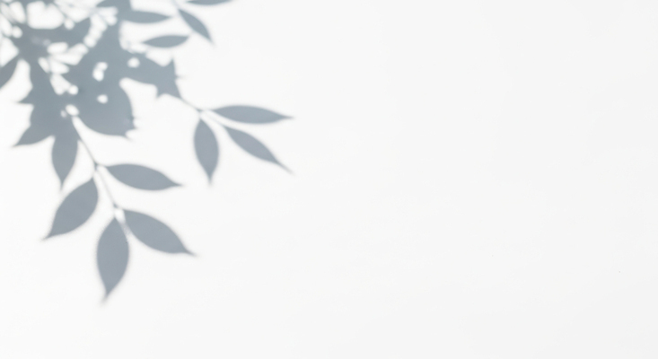 계절 컨셉 촬영기법 내부 태양 감각 CG 생태계 파일형식 식물 그림자 창문 햇빛 부드러움 실내 자연 빛 야외 여름 평화 뷰티풀 편안함 백그라운드 실루엣 편집이미지 편집실사 JPG