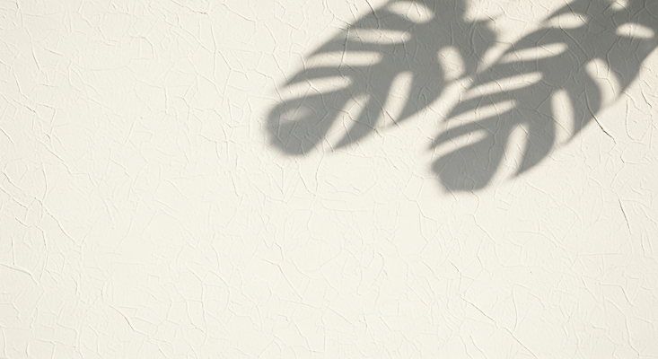 식물 디자인 컬러 무늬 내부 태양 CG 생태계 파일형식 그림자 벽 햇빛 자연 잎 실내 인테리어 흰색 패턴 뷰티풀 그림 장식 조명 편집이미지 편집실사 JPG