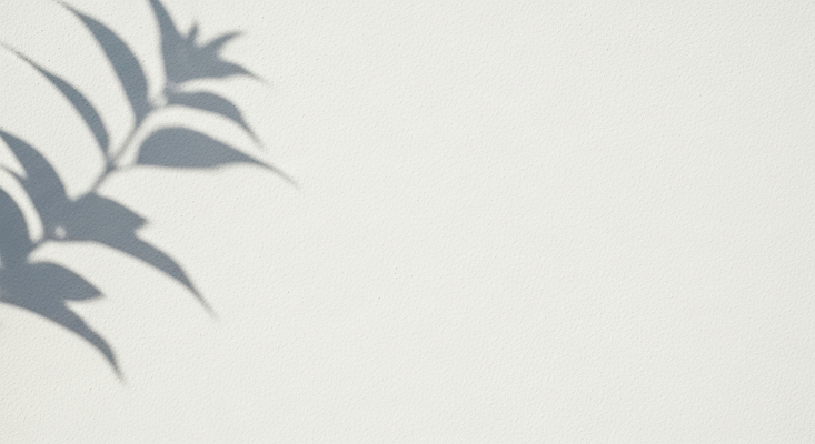 나라 컬러 컨셉 잎 모션 CG 생태계 파일형식 나뭇잎 그림자 벽 흰색 평화 자연 조용 관찰 디자인 아시아 식물 편집이미지 편집실사 JPG