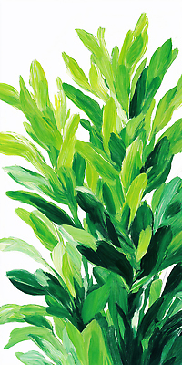 식물 컬러 취미 생태계 파일형식 초록색 자연 잎 그림 예술 뷰티풀 조화 밝음 풍경 생명 디자인 환경 창작 공예 일러스트 국내일러스트 JPG