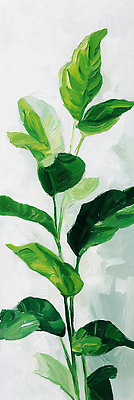 식물 디자인 컬러 감각 생태계 파일형식 초록색 벽 정원 장식 자연 잎 신선 생명 질감 인테리어 포근함 조화 성장 뷰티풀 유행 일러스트 국내일러스트 JPG