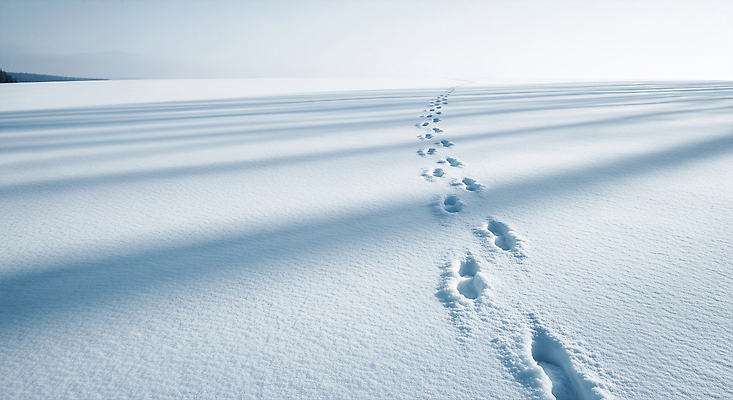 자연요소 계절 컨셉 자국 CG 생태계 파일형식 평원 발자국 겨울 풍경 자연 얼음 하늘 건조 조용 평화 길 탐험 여행 JPG 편집실사 편집이미지