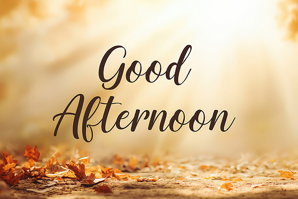 편집이미지 감정 컨셉 잎 라이프 태양 생태계 파일형식 오후 자연 햇빛 나뭇잎 평화 풍경 뷰티풀 따뜻함 순간 조용 휴식 일상 여유 귓속말 고요 이미지편집 JPG