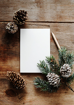 JPG 나무 편집이미지 컬러 크리스마스 겨울 자연 탁자 가지 따뜻함 장식 펜 소나무 편안함 편지지 솔방울 편집실사 AI포토 AI콘텐츠 식물 계절 기념일 가구 채소 필기구 감각 편지 CG 생태계 파일형식