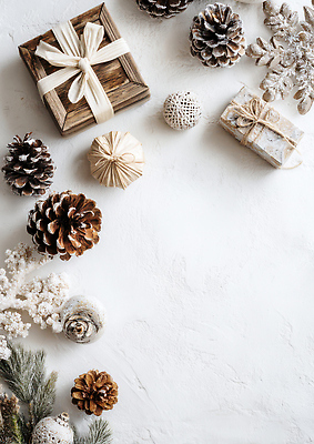 JPG 편집이미지 크리스마스 겨울 자연 선물포장 선물 목재 장식 장미 축제 흰색 소나무 분위기 편안함 뿌리 조화 편집실사 AI포토 AI콘텐츠 나무 계절 기념일 꽃 컬러 컨셉 재료 포장 감각 CG 생태계 파일형식