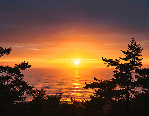 JPG 나무 편집이미지 바다 자연 하늘 새해 풍경 여름 빛 태양 평화 일출 주황색 일몰 저녁 뷰티풀 수평선 편집실사 AI포토 AI콘텐츠 자연요소 식물 계절 컬러 컨셉 노을 야간 CG 생태계 파일형식