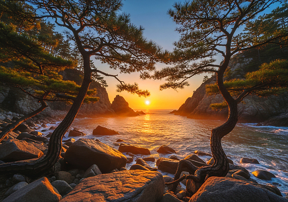 JPG 나무 편집이미지 바다 여행 자연 새해 산 풍경 해변 태양 일출 고요 일몰 저녁 뷰티풀 편집실사 AI포토 AI콘텐츠 자연요소 식물 노을 야간 CG 생태계 파일형식