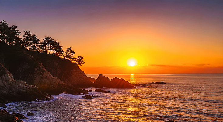 JPG 나무 편집이미지 물결 바다 컬러 자연 하늘 새해 풍경 해변 태양 일출 일몰 저녁 조용 뷰티풀 편집실사 AI포토 AI콘텐츠 자연요소 식물 노을 야간 CG 생태계 파일형식