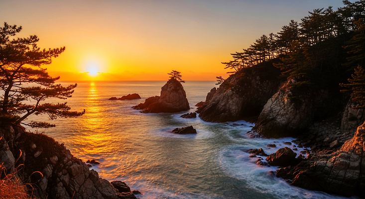 JPG 나무 편집이미지 파도 바다 섬 여행 자연 하늘 바람 조명 새해 풍경 해변 평화 일출 일몰 뷰티풀 편집실사 AI포토 AI콘텐츠 자연요소 식물 컨셉 날씨 노을 CG 생태계 파일형식