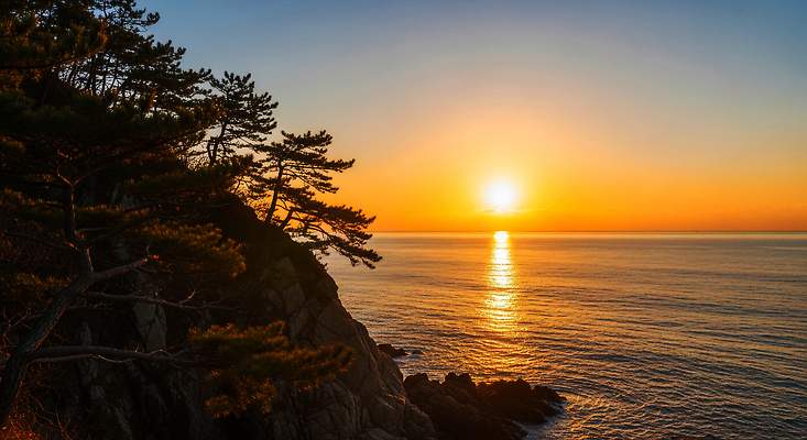 JPG 나무 편집이미지 바다 컬러 자연 새해 풍경 해변 태양 일출 고요 일몰 절벽 그림 뷰티풀 수평선 편집실사 AI포토 AI콘텐츠 자연요소 식물 노을 CG 생태계 파일형식