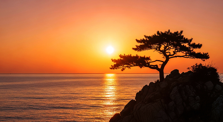 JPG 편집이미지 바다 자연 하늘 생명 새해 풍경 해변 태양 제주도 일출 일몰 소나무 저녁 뷰티풀 편집실사 AI포토 AI콘텐츠 자연요소 나무 한국 노을 야간 CG 생태계 파일형식