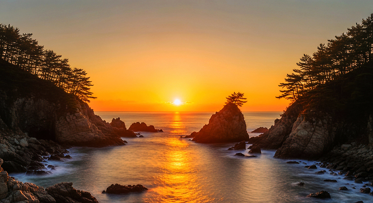 JPG 나무 편집이미지 바다 컬러 자연 하늘 아침 새해 풍경 해변 빛 일출 조용 뷰티풀 수평선 편집실사 AI포토 AI콘텐츠 주간 식물 노을 CG 생태계 파일형식