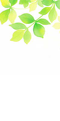 JPG 식물 화초 잎 일러스트 자연 생명 풍경 초록색 여름 햇빛 평화 환경 성장 신선 숲 자연주의 광합성 뷰티풀 생동감 국내일러스트 AI일러스트 AI콘텐츠 계절 컬러 컨셉 태양 생태계 파일형식