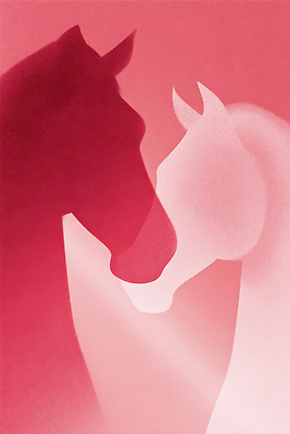 JPG 동물 디자인 감정 실루엣 예술 분홍색 백그라운드 일러스트 관계 함께함 사랑 미술 빨간색 표현 말_게임 그림 말띠 부드러움 조화 창작 2026년 국내일러스트 병오년 붉은말 AI일러스트 AI콘텐츠 컬러 컨셉 문화예술 촬영기법 십이지신 말_동물 감각 연도 파일형식