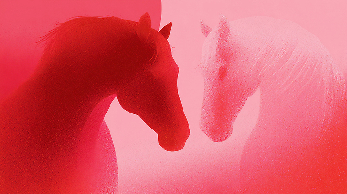 JPG 모양 동물 시선 감정 예술 컬러 백그라운드 일러스트 회화 빨간색 검은색 희망 만남 흰색 표현 말_게임 비교 그림 윤곽 말띠 부드러움 조화 2026년 국내일러스트 병오년 붉은말 AI일러스트 AI콘텐츠 컨셉 말하기 십이지신 말_동물 감각 연도 파일형식