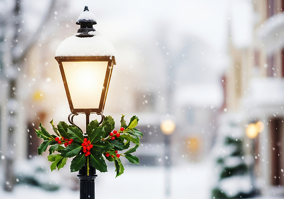 JPG 식물 편집이미지 크리스마스 겨울 가로등 자연 거리 따뜻함 장식 빛 축제 기온 호랑가시나무열매 편집실사 AI포토 AI콘텐츠 계절 공공시설 기념일 열매 날씨 CG 생태계 파일형식