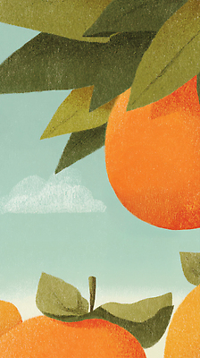 JPG 나무 열매 잎 과일 일러스트 자연 하늘 주택 건강 풍경 일상 여름 농장 주황색 수확 성장 달콤 과수원 단감 비타민C 국내일러스트 AI일러스트 AI콘텐츠 식물 계절 컬러 농업 감 건물 라이프 맛 생태계 비타민 파일형식