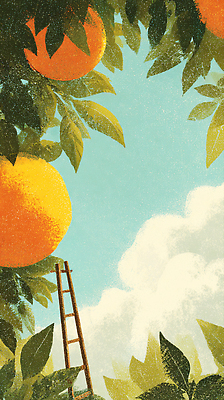 JPG 나무 열매 농업 과일 일러스트 사다리 자연 하늘 건강 풍경 농장 주황색 수확 원예 비타민 채소밭 과일따기 단감 오후 국내일러스트 AI일러스트 AI콘텐츠 식물 산업 컬러 밭 감 취미 도구 생태계 영양소 파일형식