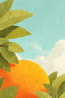 JPG 식물 사계절 컬러 농업 과일 일러스트 자연 하늘 생명 나뭇잎 건강 풍경 여름 햇빛 농장 신선 단감 뷰티풀 국내일러스트 AI일러스트 AI콘텐츠 계절 산업 잎 감 태양 생태계 파일형식