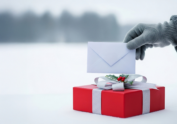 JPG 편집이미지 크리스마스장식 크리스마스 겨울 자연 선물포장 선물 축제 흰색 편지 조용 의료성형뷰티 겨울풍경 차분 편집실사 AI인물포토 AI콘텐츠 계절 기념일 컬러 컨셉 포장 풍경 CG 생태계 파일형식 AI포토